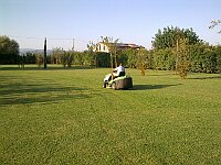 Rasatura del prato