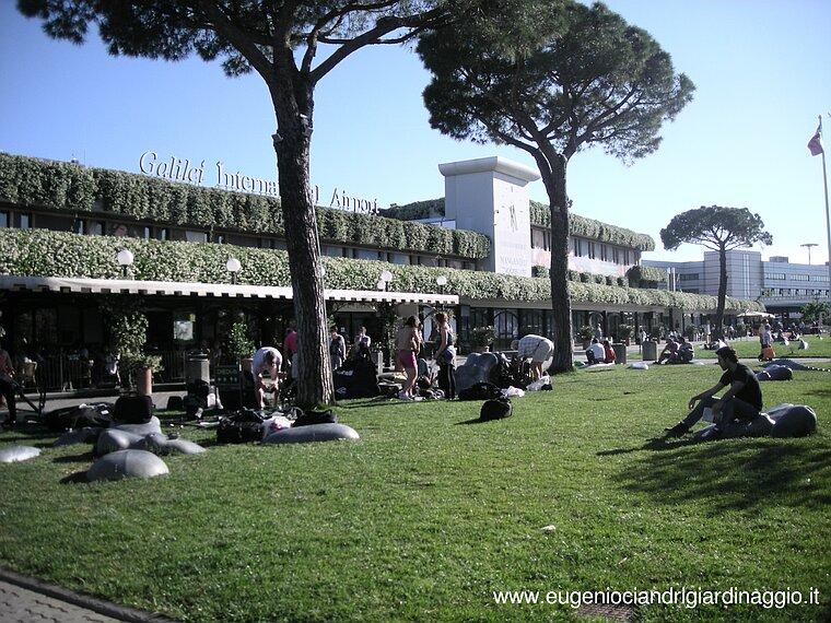 Giardino pensile con i gelsomini in fiore