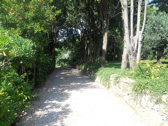 Viale d&#039;ingresso