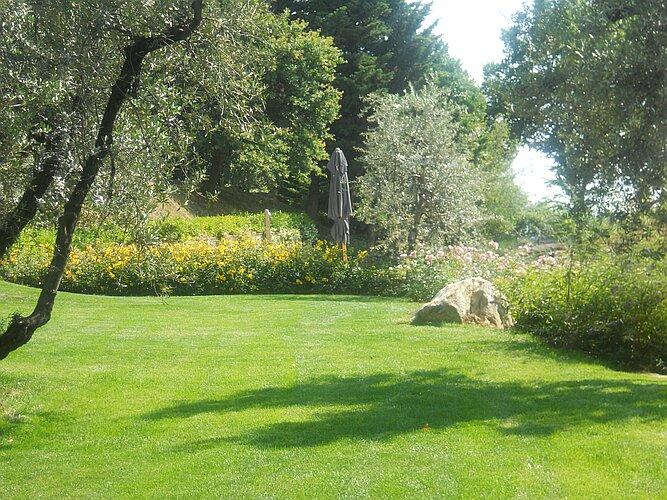 La pietra nel prato