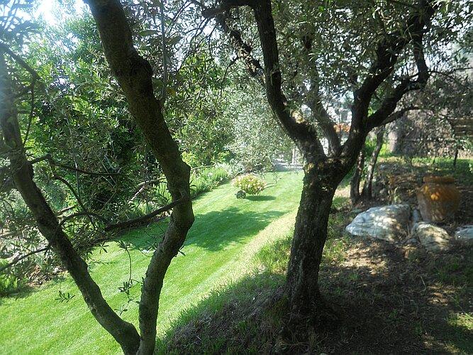 Affaccio sul viale