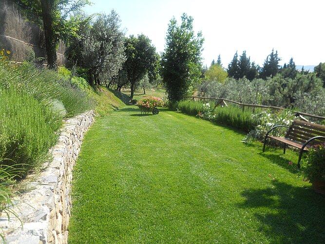 Che pace!