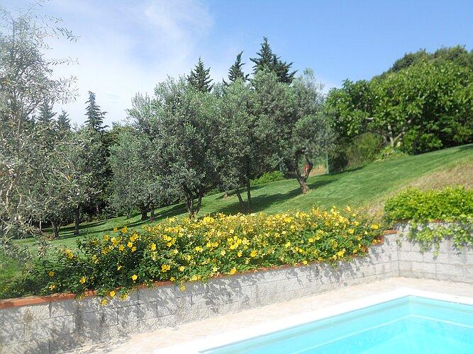 Bordo piscina