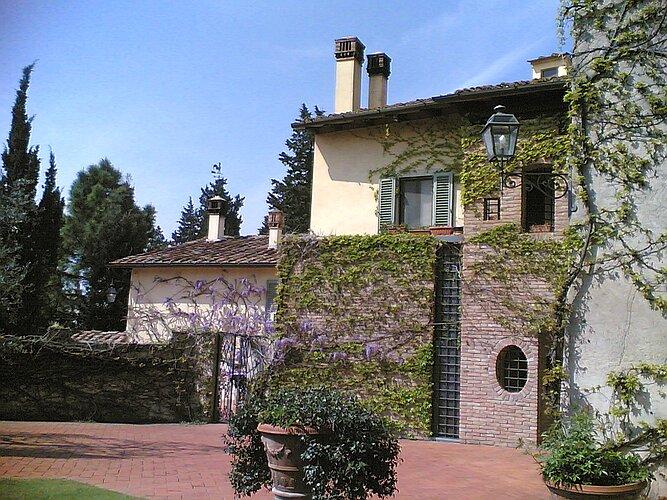 La vite e il glicine in fiore sui muri