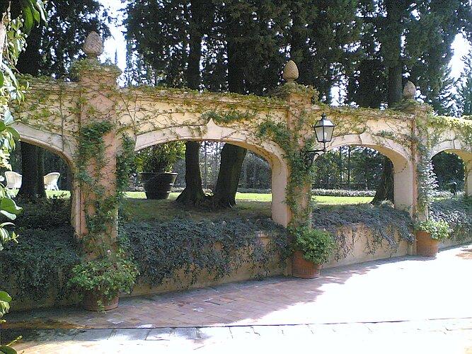 Muro ricoperto da vite e da rose rampicanti
