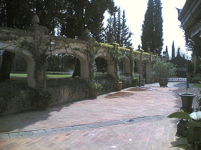 Dal muretto scende il cotoneaster a ricoprire