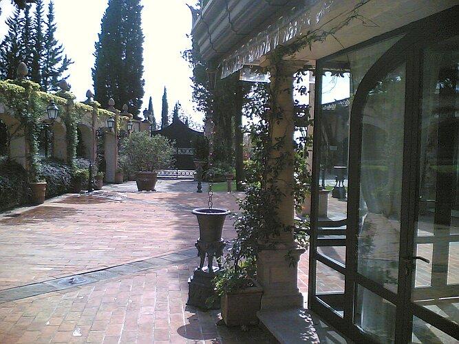 Il gelsomino alla colonna