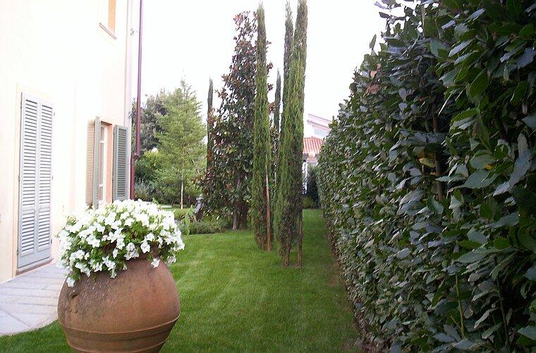 Orcio toscano con surfinie Orcio toscano con surfinie