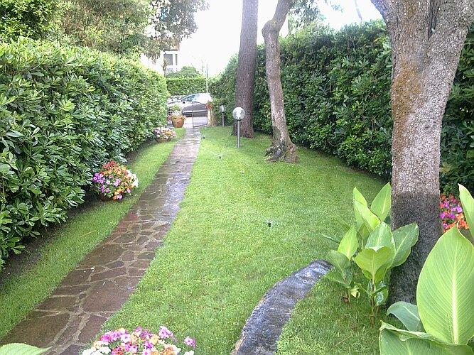 Irrigazione in funzione