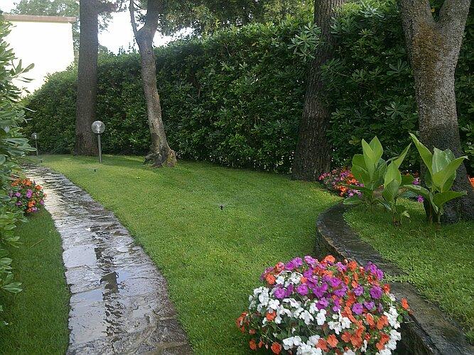 Canne indiche sulla destra