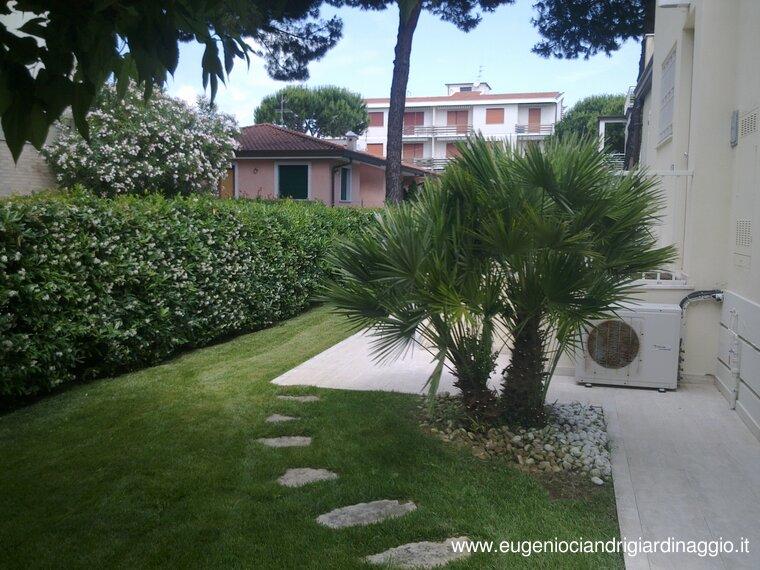 Il giardino con una Palma Humilis dopo i lavori