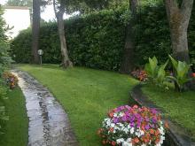 Canne indiche sulla destra